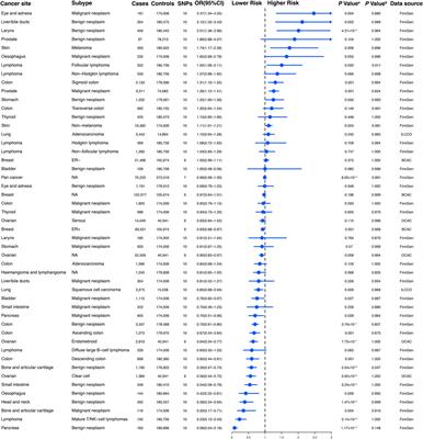 Association between genetically proxied glucosamine and risk of cancer and non-neoplastic disease: A Mendelian randomization study